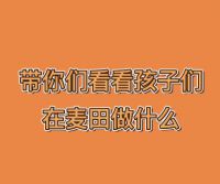 孩子们在麦田都做什么